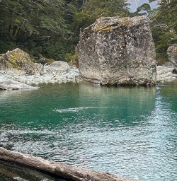 Routeburn Track river 16MAR25
