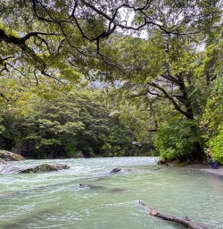 Routeburn Track river 25FEB25