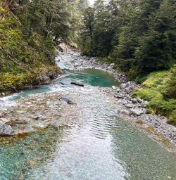 Routeburn Track river GW09JAN25