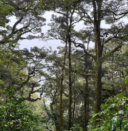 Routeburn Track walking tour 10FEB25