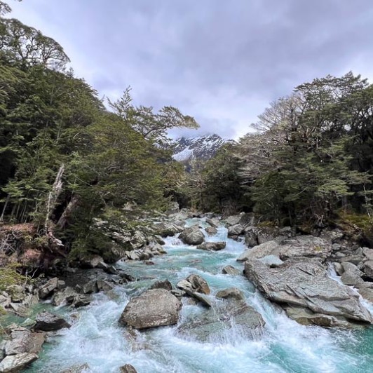 Routeburn Track water GW04NOV25