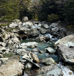 Routeburn river 01APR25