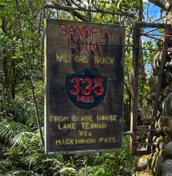 Sandfly point Milford Track 16MAR25