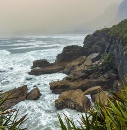 South Island West Coast M10MAR25