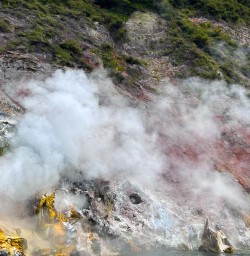 Steaming Cliffs in rotorua SN03FEb26