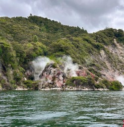 Steaming cliffs kayak tour SN03FEb26