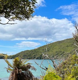 Stewart Island GW24FEB26