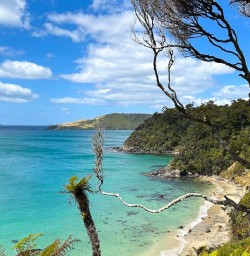 Stewart Island GW27JAN26