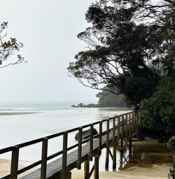 Stewart Island New Zealand 01APR25