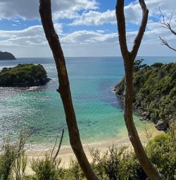 Stewart Island Rakiura track 16MAR25