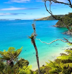 Stewart Island South Island GW09JAN25