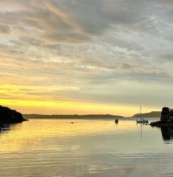 Stewart Island bay 25FEB25