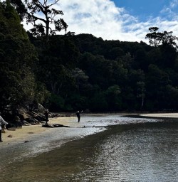 Stewart Island beach 01APR25