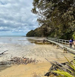 Stewart Island beach GW23FEB25