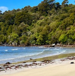 Stewart Island beach GW25OCt27