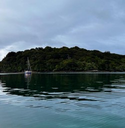 Stewart Island boat tour GW09JAN25