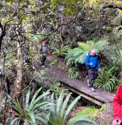Stewart Island guests walking along bridge in forest GW25OCT27