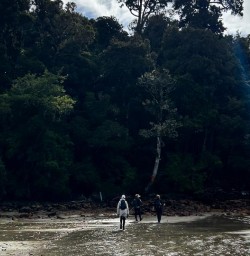 Stewart Island hiking tour 01APR25
