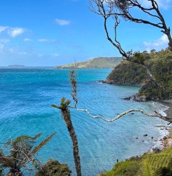 Stewart Island view GW25OCT27