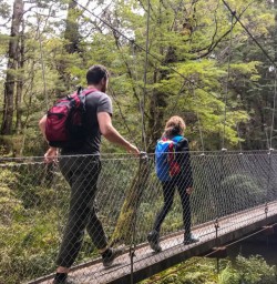Swing bridge crossing on the Kepler