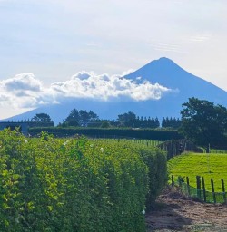 Taranaki Mt Egmont GN09FEB26