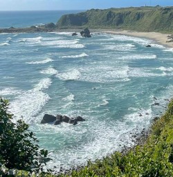 Tauranga West Coast M17MAR25