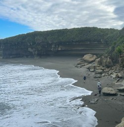 Taurange New Zealand 03FEB25