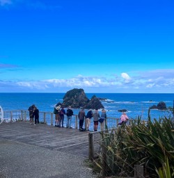 Taurange bay 17FEB25