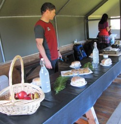 Tented Lunch Hollyford Valley