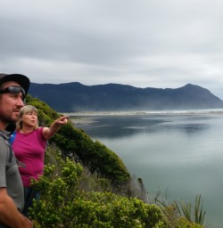 Hollyford River mouth