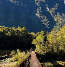 The Milford Track G03MAR25