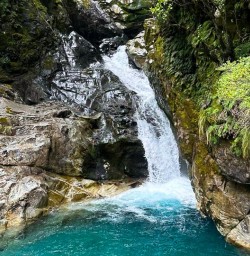 The Routeburn Track 17FEB25