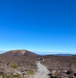 Tongario Nationalpark North Island RS03MAR26