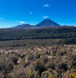 Tongariro National Park 04MAR25