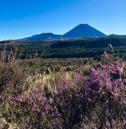 Tongariro National Park 11FEB25