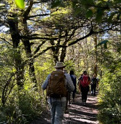 Tongariro National Park hike 11FEB25