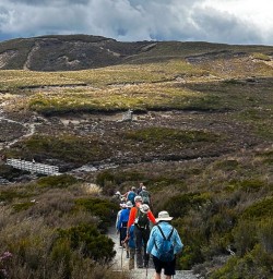 Tongariro hiking tour 25FEB25