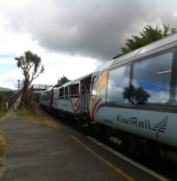 TranzAlpine Station Moana