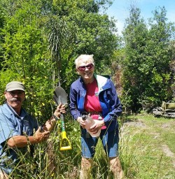 Tree Planting Mou Waho