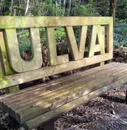 Ulva Island GW18NOV25