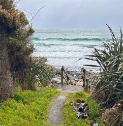Ulva Island beach GW25OCt26
