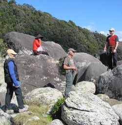 Wildlife Viewing Fiordland