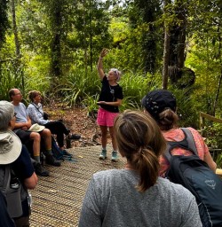 Waiomu Kauri Grove 04MAR25