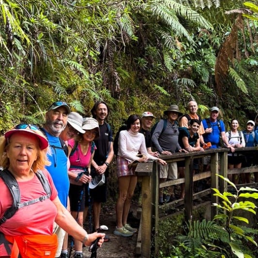 Waiomu Kauri Grove 11FEB25