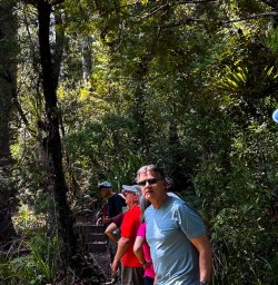 Waiomu Kauri Grove hike 04FEB25