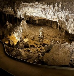 Waitomo Caves 04MAR25