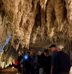 Waitomo Caves 11FEB25