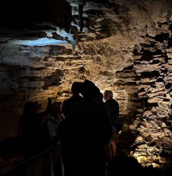 Waitomo Caves 280125