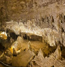 Waitomo Caves SN28OCT25