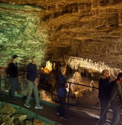 Waitomo Caves guided tour 04FEB25